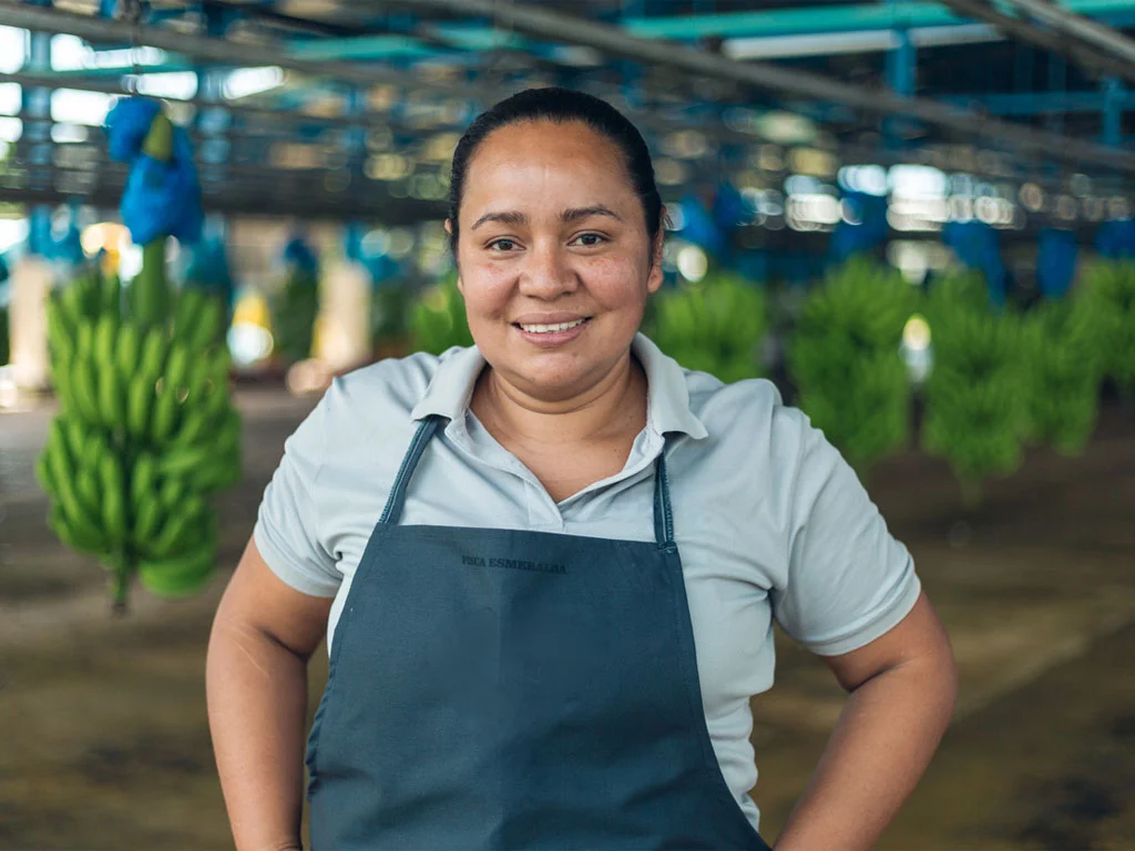 A worker at a banana packing station