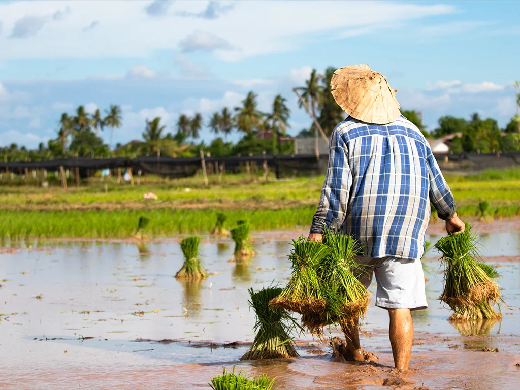 Social program: workers in the supply chain