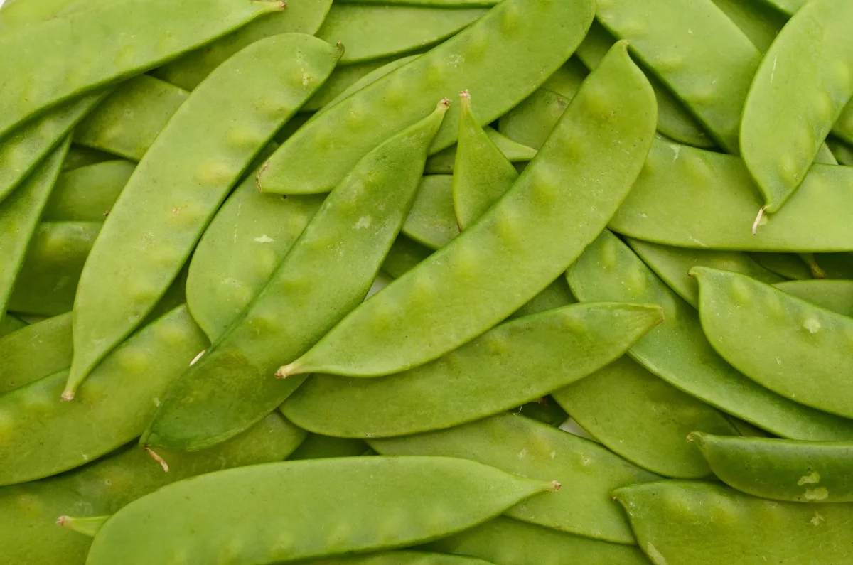 Fresh green produce