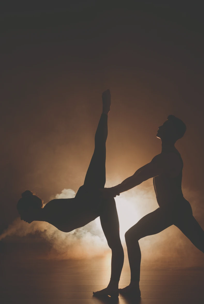 Summit poster pair