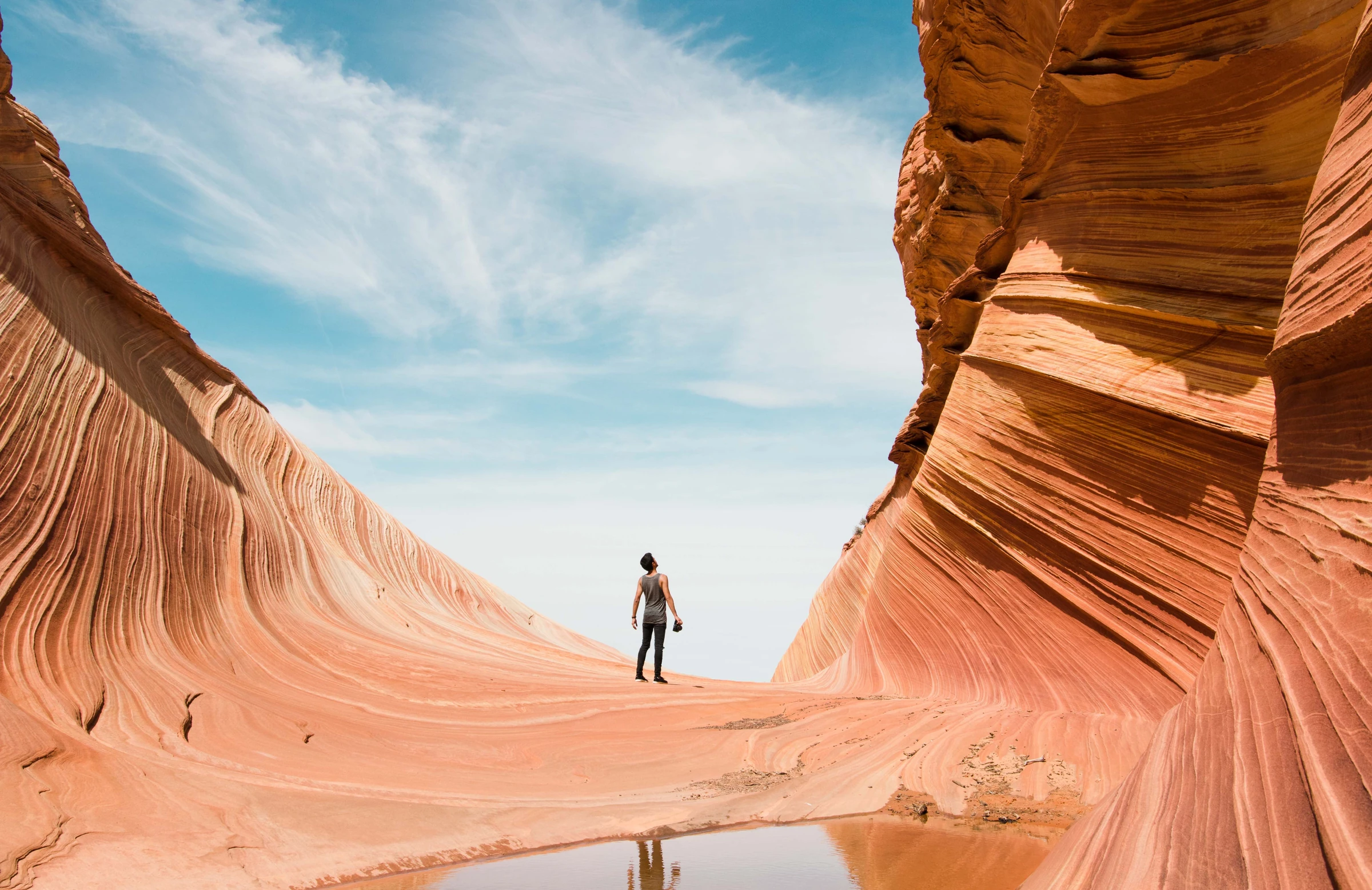 Traveler photography backdrop