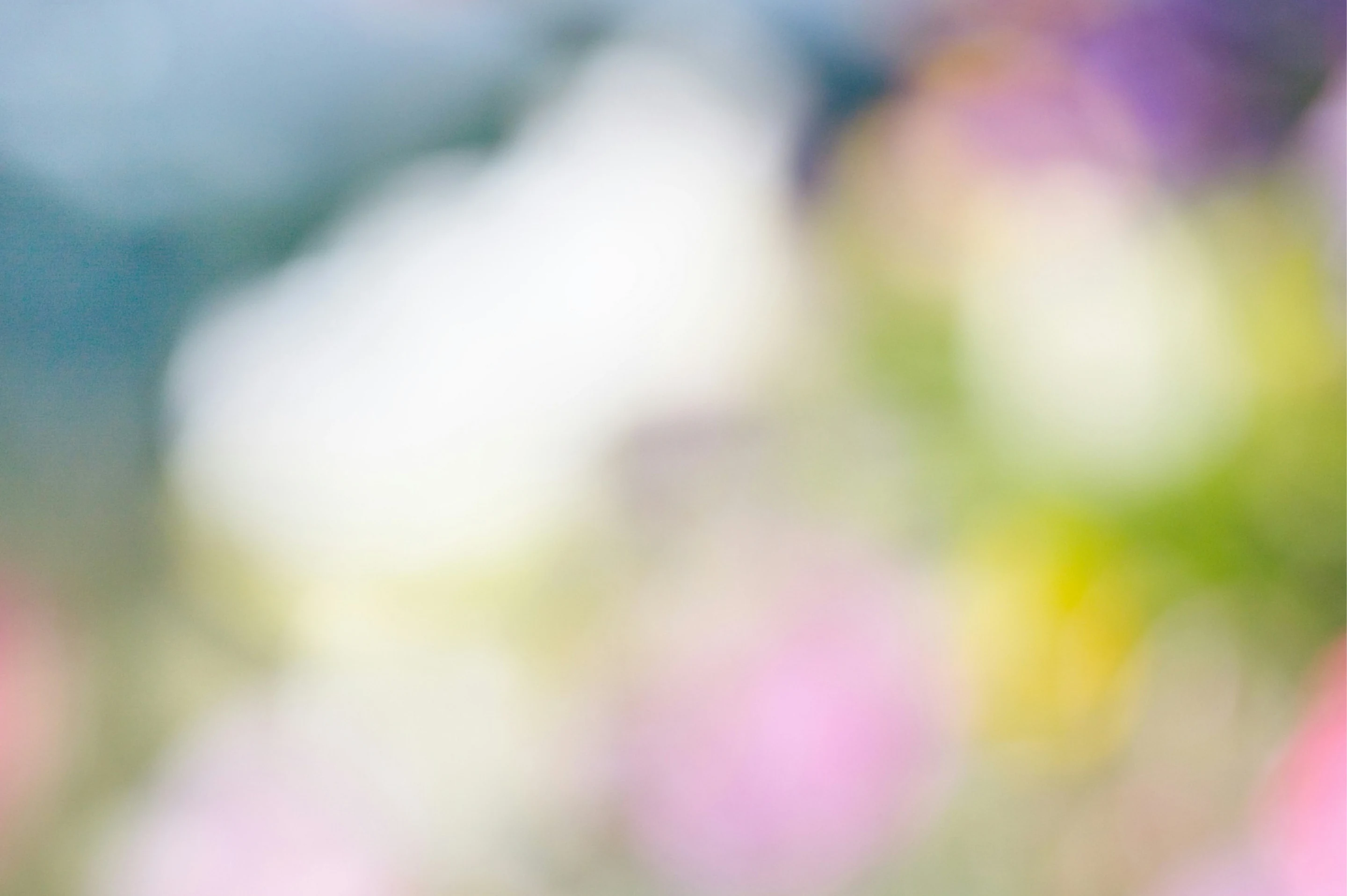 Gillian Caroe brand board with bokeh photography