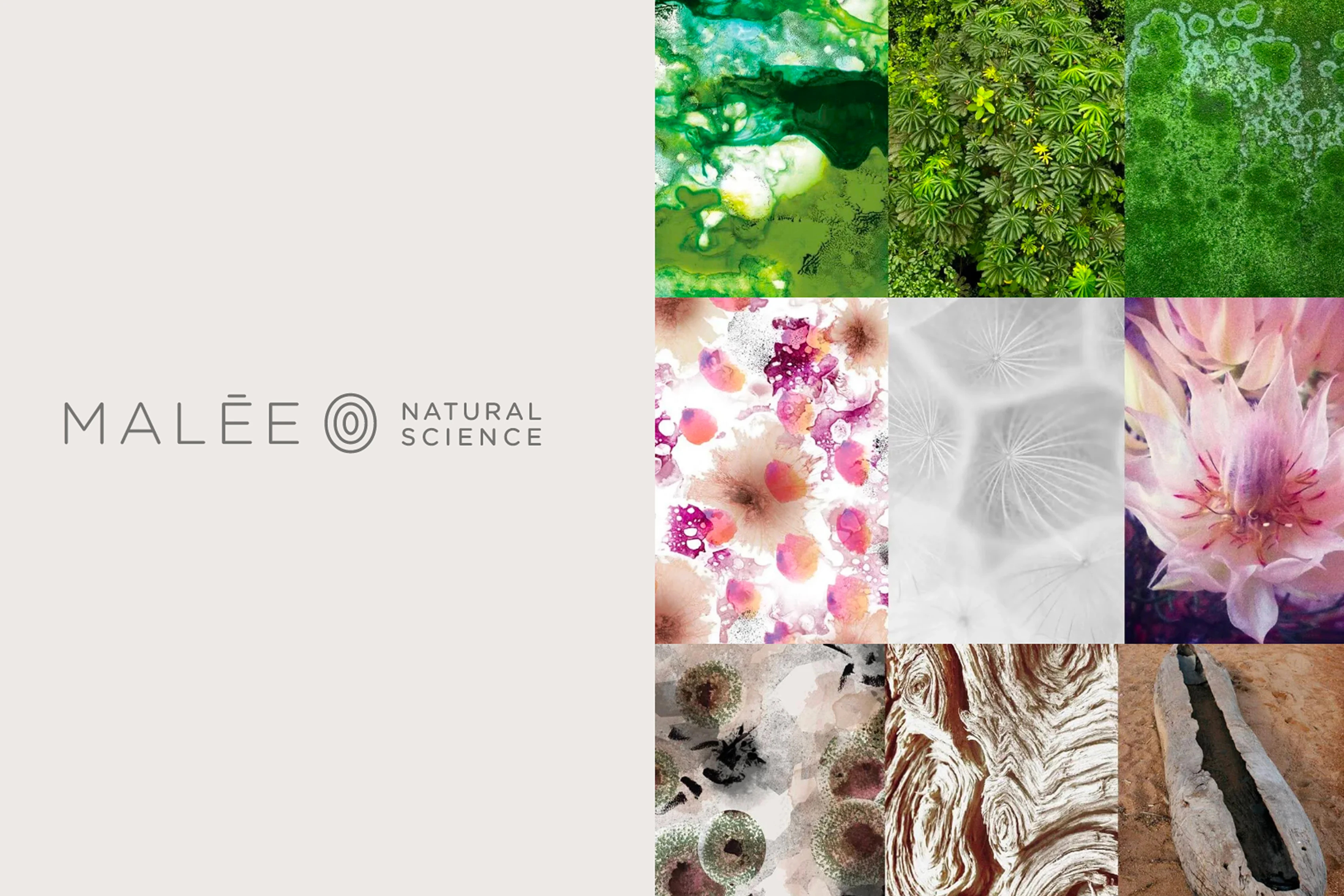 Malée Natural Science brand board