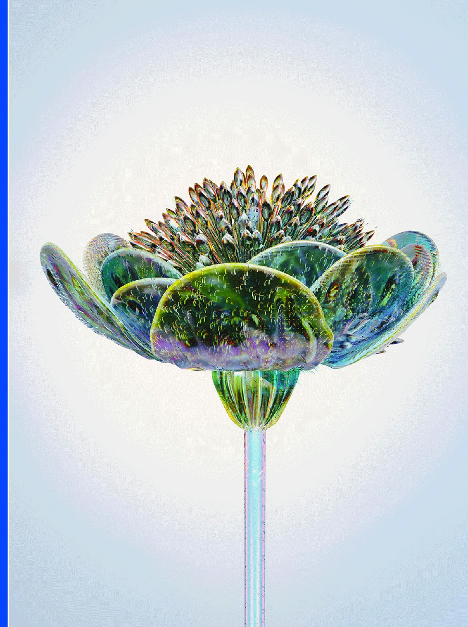 Zentiva report cover flower