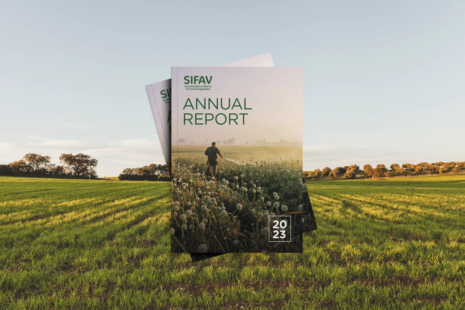 SIFAV annual report cover