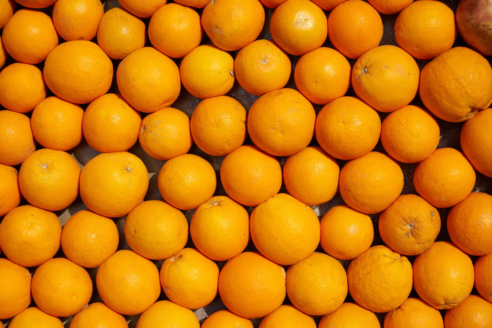Oranges in warm light