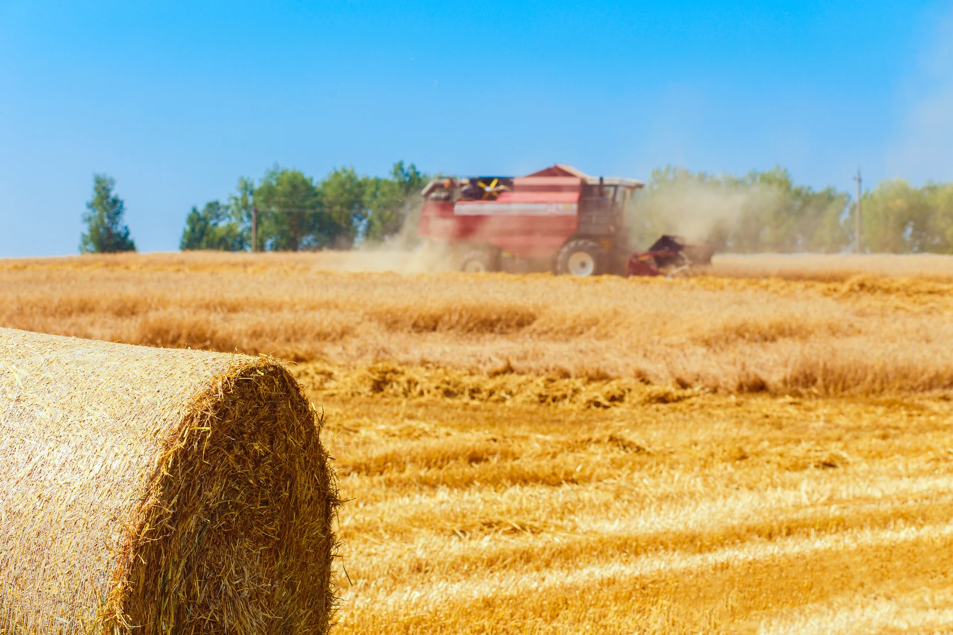 A combine harvester working a wheat field