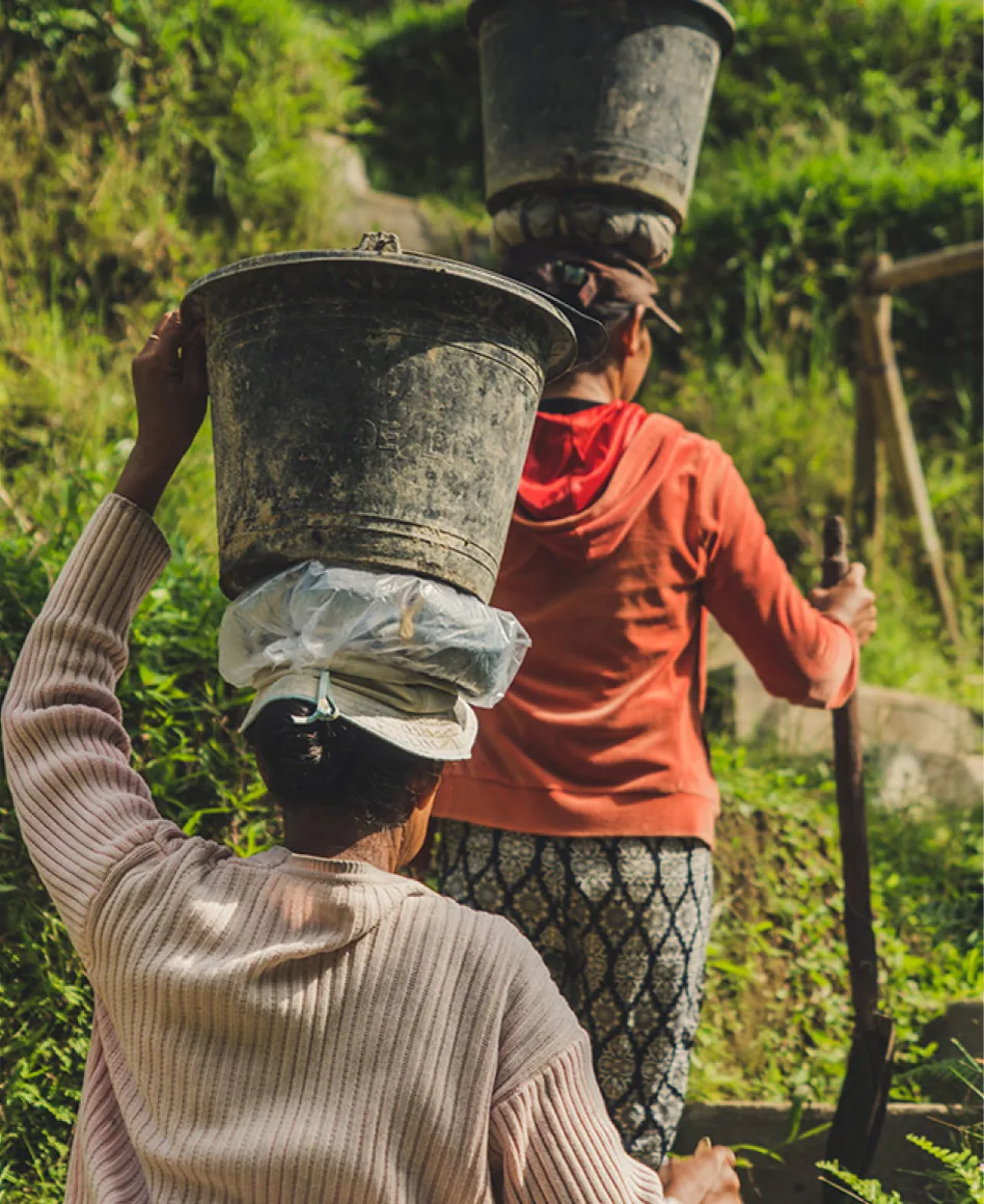 SSI social post: two women carrying buckets of harvest