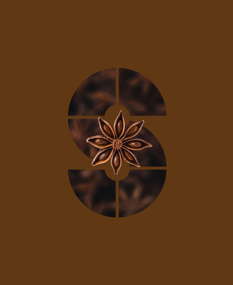 SSI brand symbol filled with star anise