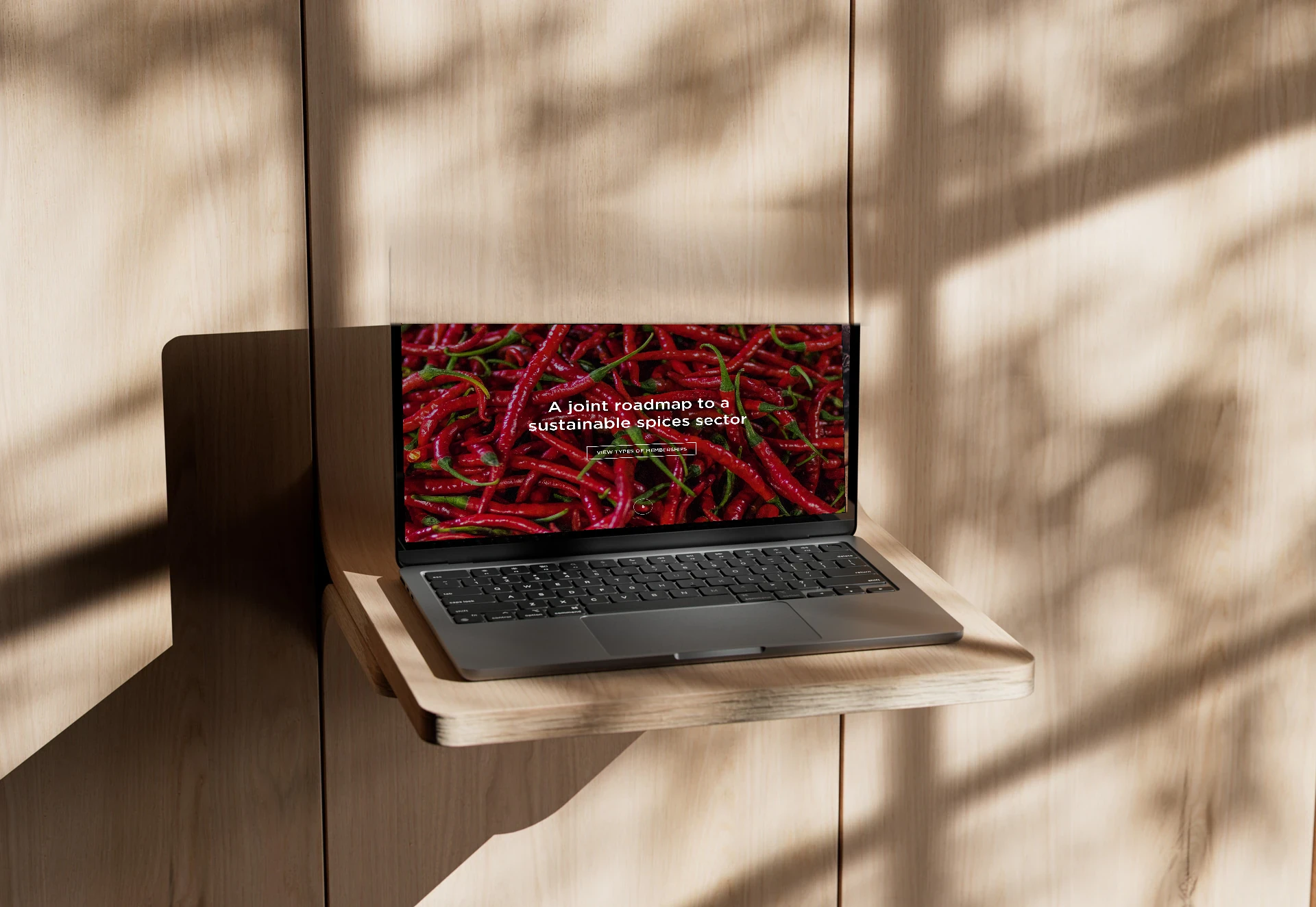 The SSI website on a laptop, showing the About page