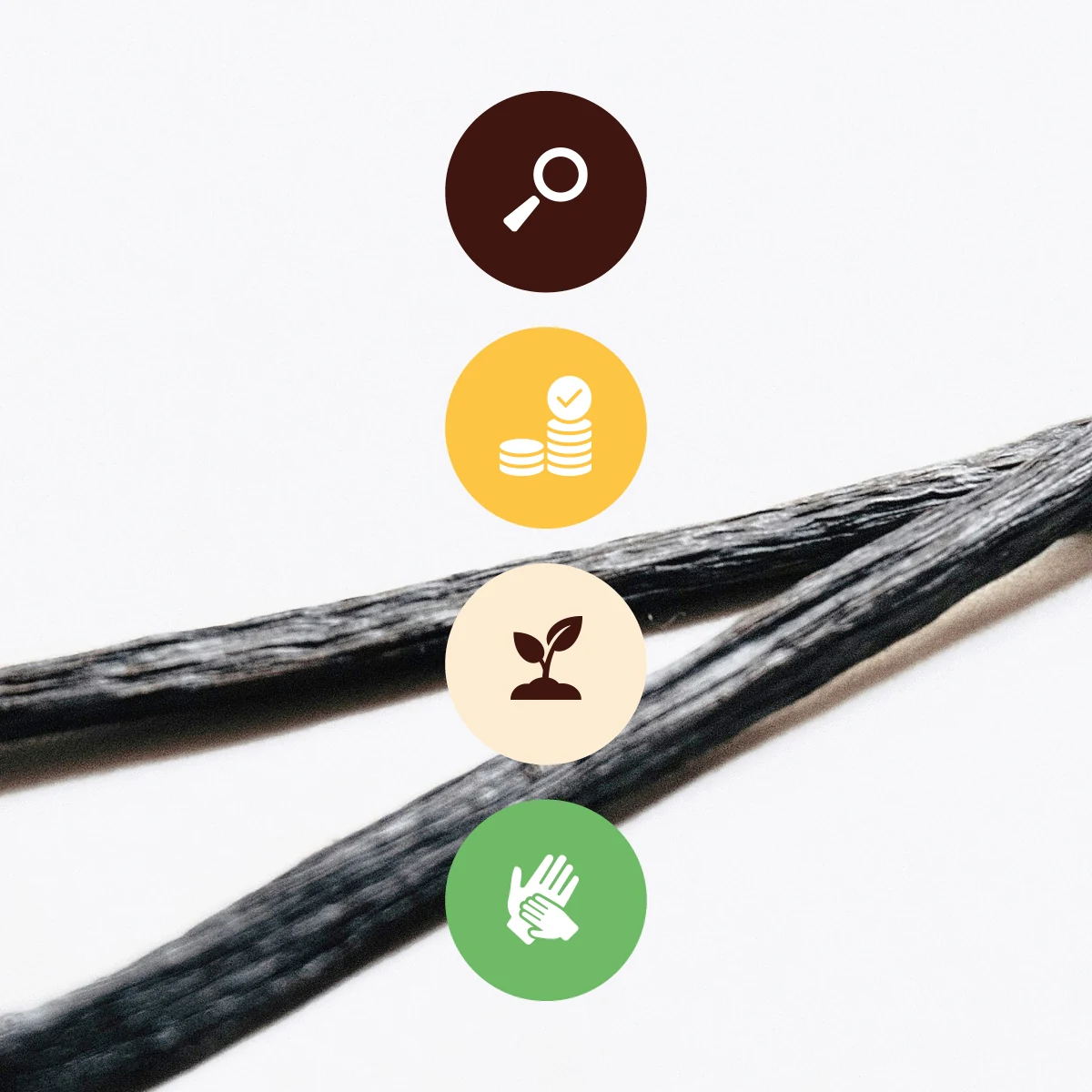 SVI focus areas: governance, living income, forest, child labour