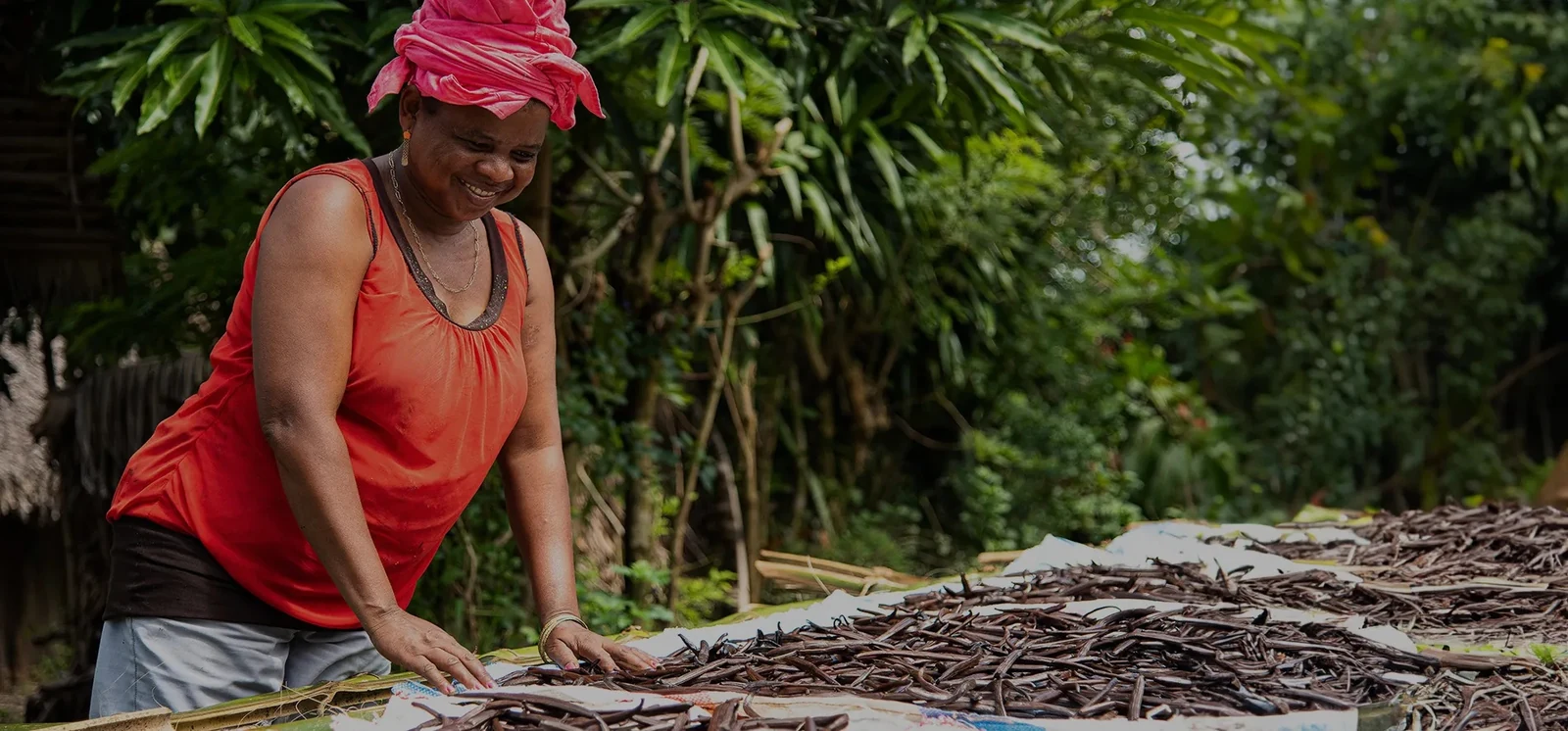 Sustainable Vanilla Initiative website hero