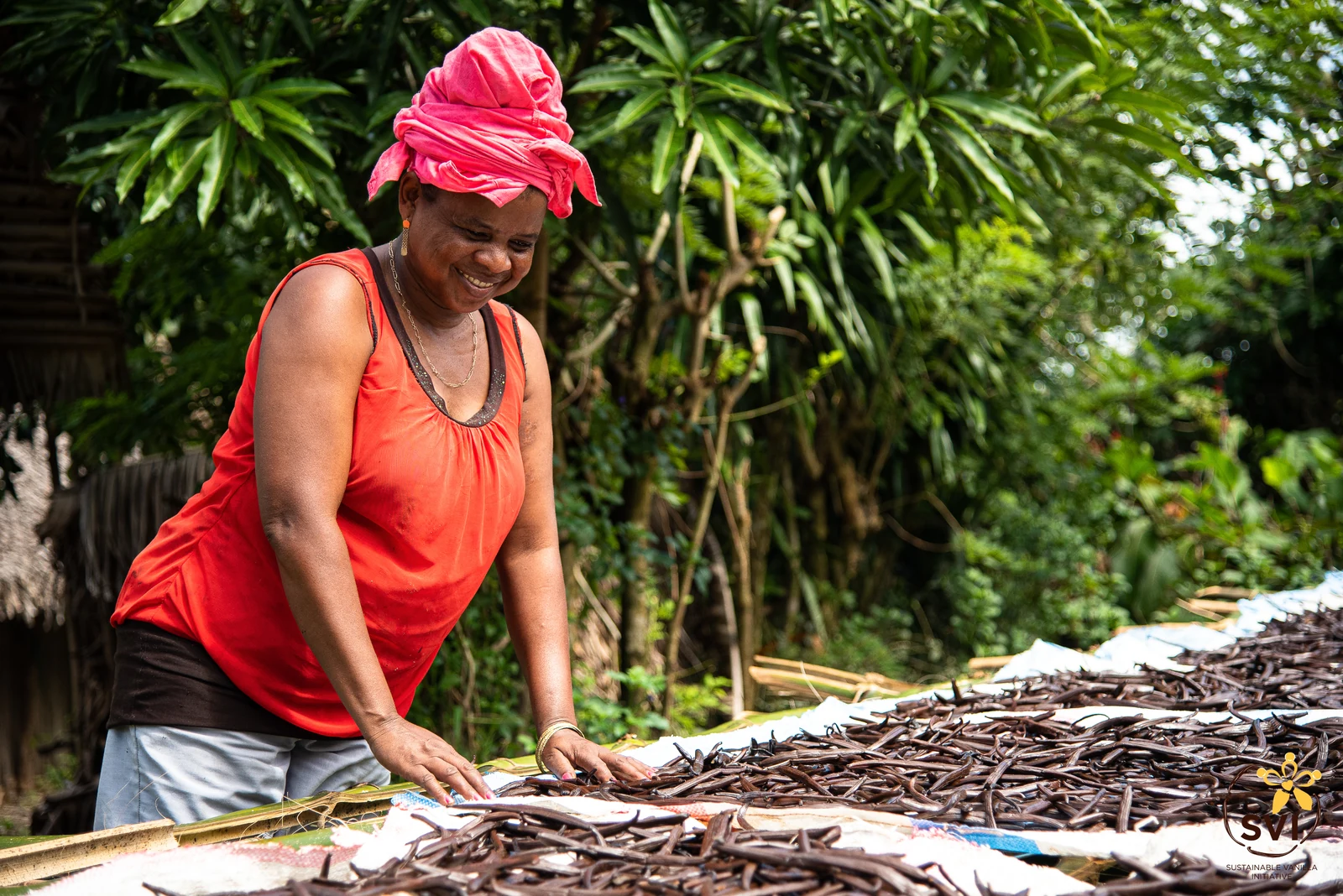 Farmers harvesting vanilla