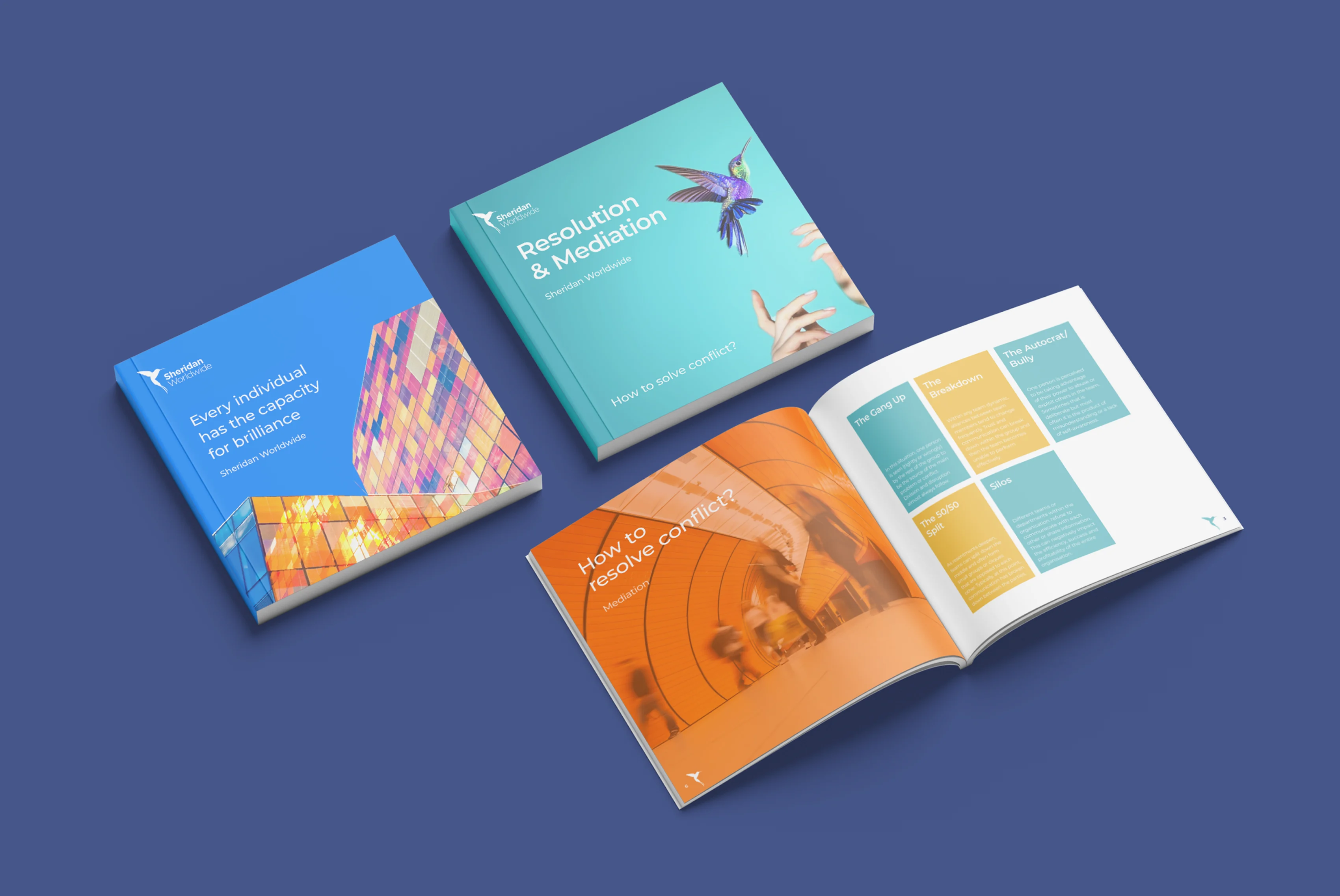 Sheridan Worldwide programme brochures