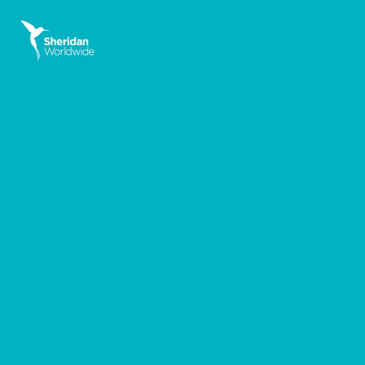 Conflict Resolution: Sheridan Worldwide social card