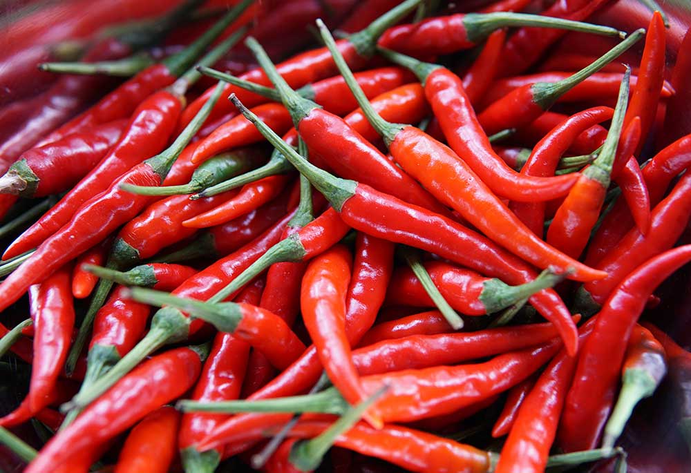 Fresh peppercorn clusters