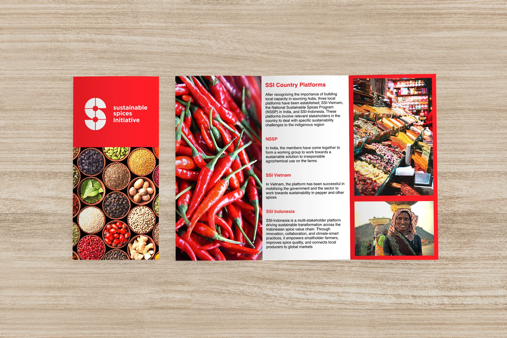 SSI editorial pamphlet spreads